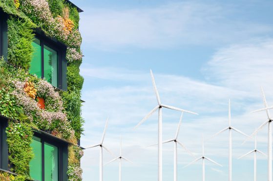 True North Embracing nature for resilient urban development