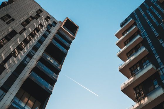 True North Northern Star Regeneration Brainery