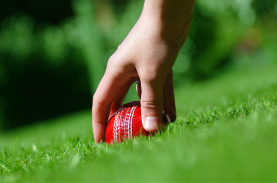 Close-up of a hand gripping a red cricket ball on vibrant green grass, just about touching the turf, with a softly blurred leafy background.
