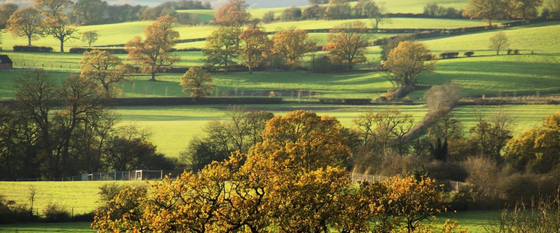 The grounds of a countryside estate